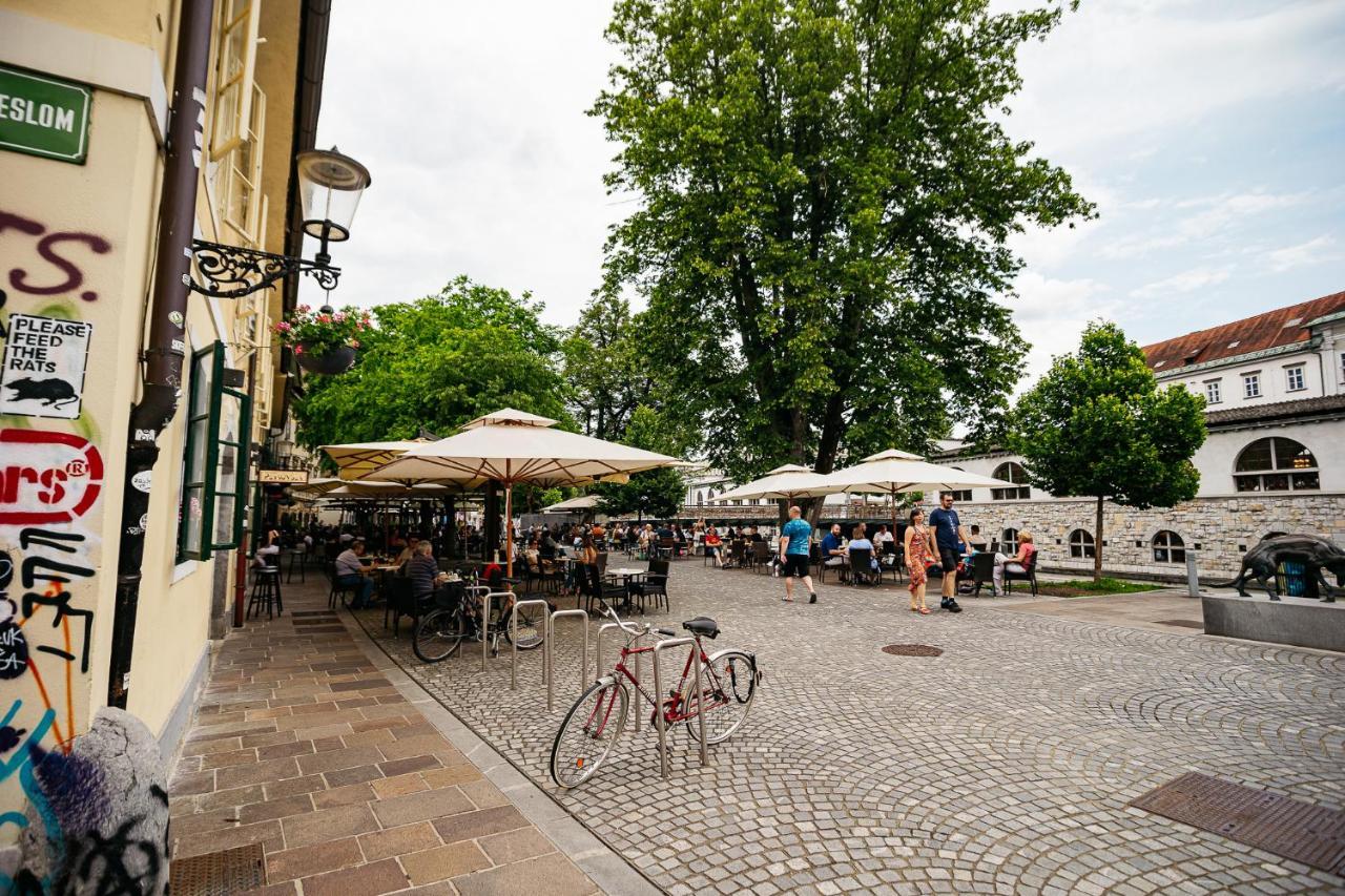 150 Steps To The Main Square Apartment Laibach